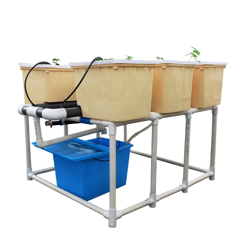 Secchio olandese per coltura idroponica autoirrigante Aquaponic per uso alimentare