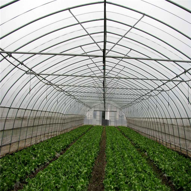 Agricoltura Serra a campata singola serra a cerchio a basso costo Serra a tunnel resistente ai raggi UV