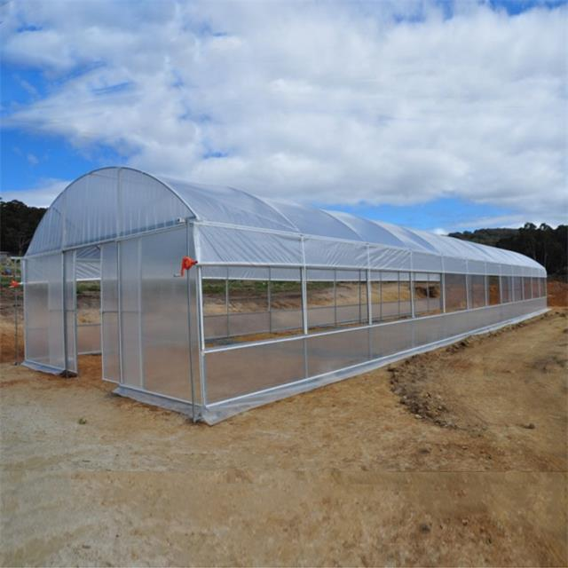 Agricoltura Serra a campata singola serra a cerchio a basso costo Serra a tunnel resistente ai raggi UV