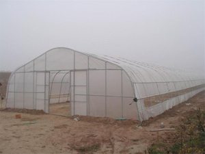 Agricoltura Serra a campata singola serra a cerchio a basso costo Serra a tunnel resistente ai raggi UV